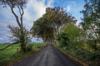  The Dark Hedges - Northern Ireland 